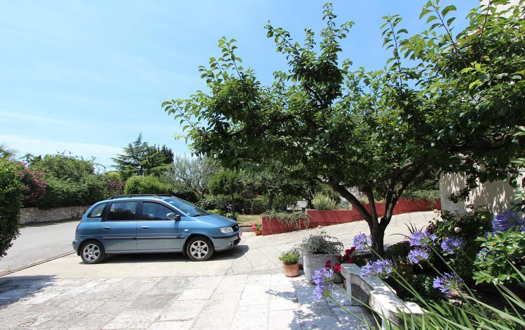 Apartman Mitton *